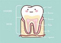 la santé des dents